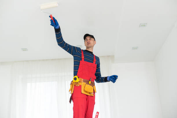 Reliable Schiller Park, IL Dry wall and painting Solutions